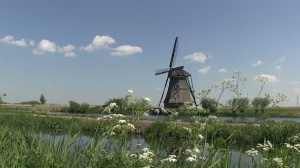 Niederländische Windmühlen in der Nähe von kinderdijk, Niederlande - Filmmaterial, Video