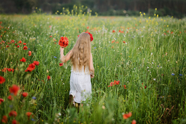 Rückseite der ukrainischen schönen kleinen Mädchen zu Fuß im Sommer Blumenfeld von Mohn und Kornblumen  - Foto, Bild