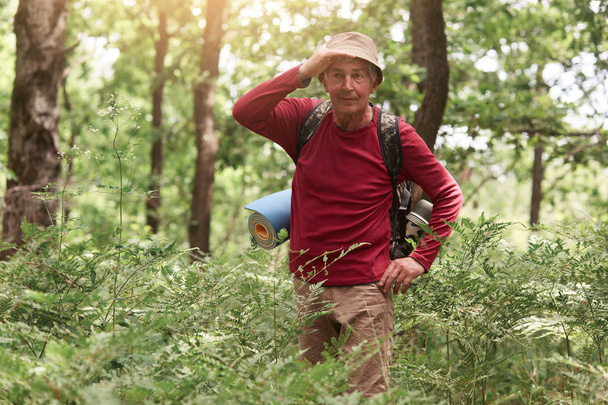 Portrait of attentive senior traveller having tour in forest, looking far away, covering her eyes with hand, being happy, wearing special clothes for hiking, enjoying his tour. Activities concept. - Foto, imagen
