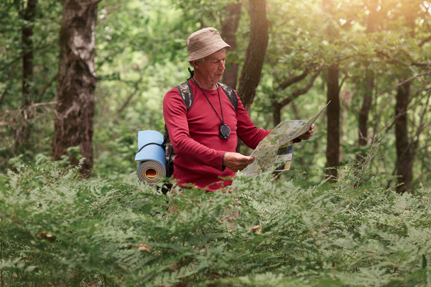 Image of traveler man searching right direction on map, like to travel along nature. Old tourist with backpack standing in amazing forest among trees. Active recreation and health lifestyle concept. - Foto, Bild
