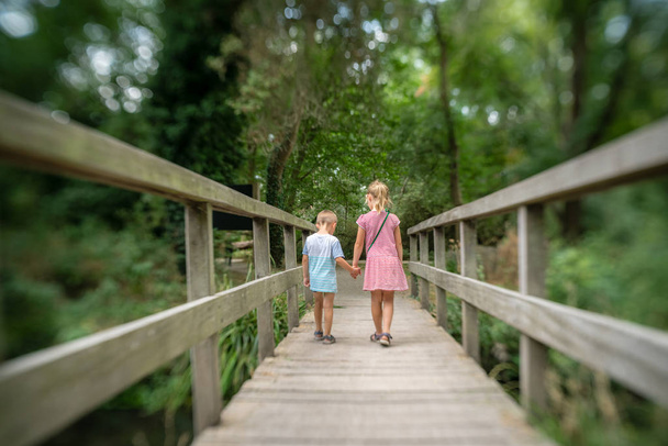 Hermano y hermana cruzando pequeño puente de madera
 - Foto, Imagen