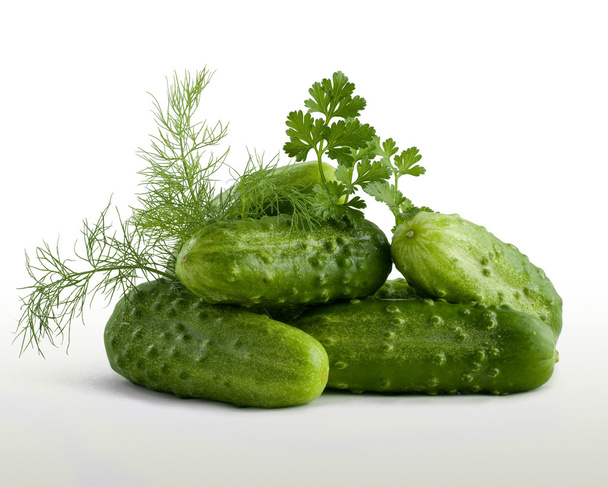Cucumbers, fennel and parsley on a white background - Fotoğraf, Görsel