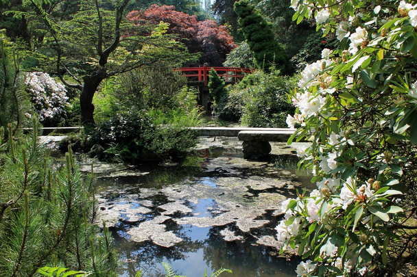 Jardin japonais reflétant piscine
 - Photo, image