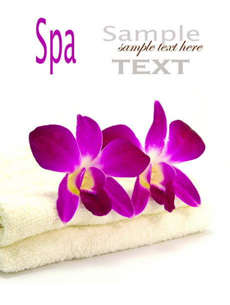 Flower and Spa - Photo, image