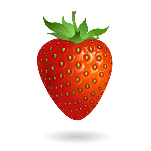 Erdbeere isolieren auf weißem Hintergrund - Vektor, Bild