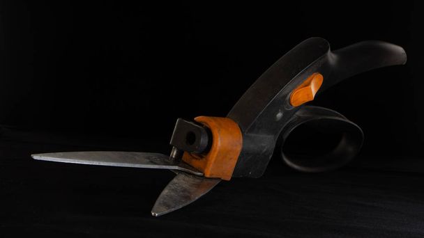 Scissors for a lawn on a black background - Photo, Image