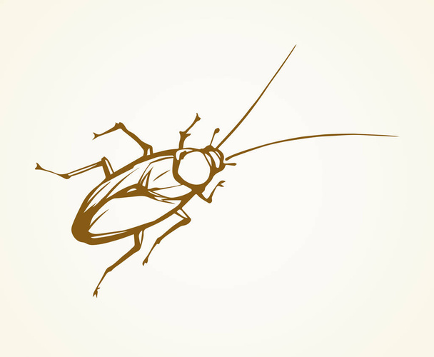 Hamamböceği. Vektör çizimi - Vektör, Görsel