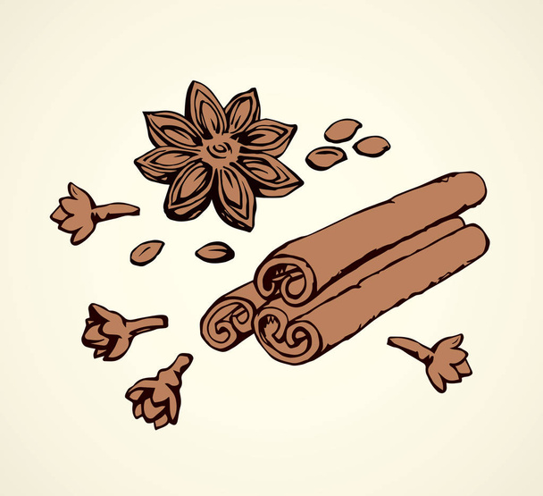 Anise. Vector drawing - Vector, Image