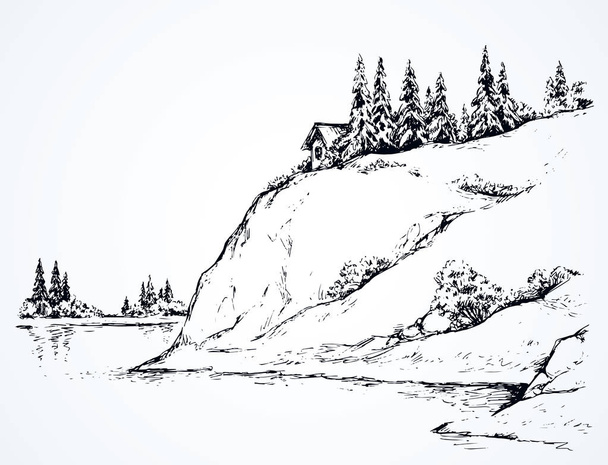 Firs on hill above river. Vector drawing - Vector, Image