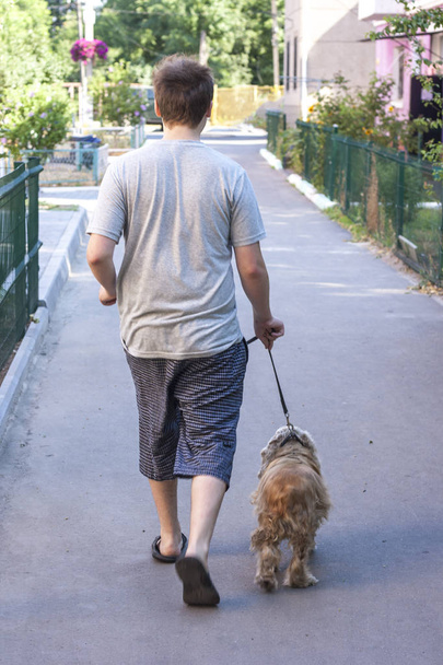 Ένας νεαρός περπατάει με το λουρί ενός σκύλου κόκερ σπάνιελ. Θέα από πίσω. Έννοια φροντίδας κατοικίδιων ζώων. - Φωτογραφία, εικόνα