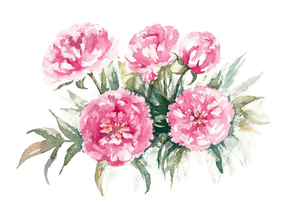 Walter Faxon Peony. Bouqet of vivid pink peonies with double flowers. Watercolor illustration. - Foto, imagen