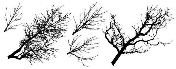 Joukko puun oksat siluetteja, vektori kuva
 - Vektori, kuva