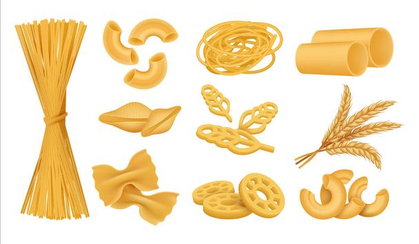 Realistische macaroni. Italiaanse droge tarwe voedsel, verschillende soorten pasta noedels Farfalle Fusilli Penne. Vector 3D geïsoleerde set - Vector, afbeelding