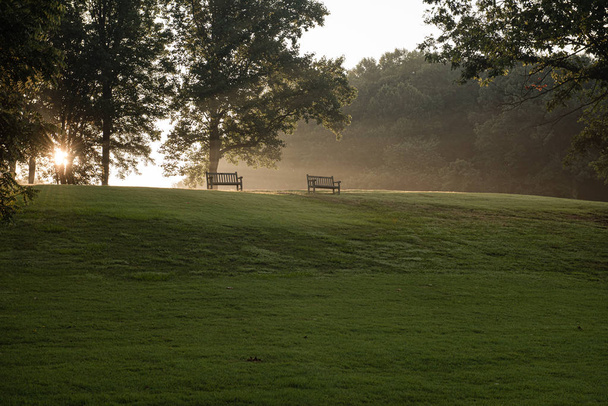 Panche del parco nella luce del mattino
 - Foto, immagini
