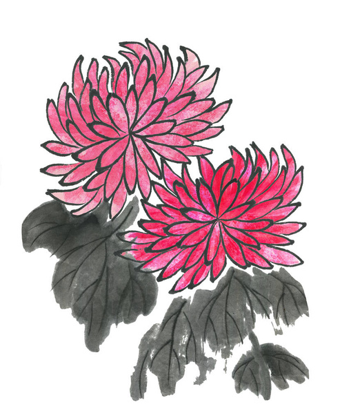 Chrysanthemum as a symbol of Japan and China. Watercolor hand painted flower on white background. Traditional oriental ink painting sumi-e, u-sin, go-hua.  - Foto, Bild
