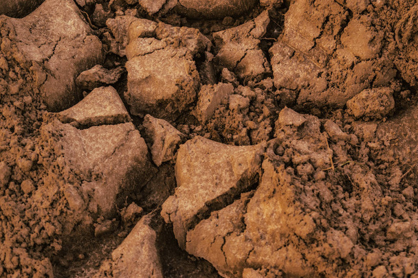 Υφή του ελαφρού εδάφους του εδάφους. Φόντο της σκόνης, του χώματος με ένα - Φωτογραφία, εικόνα