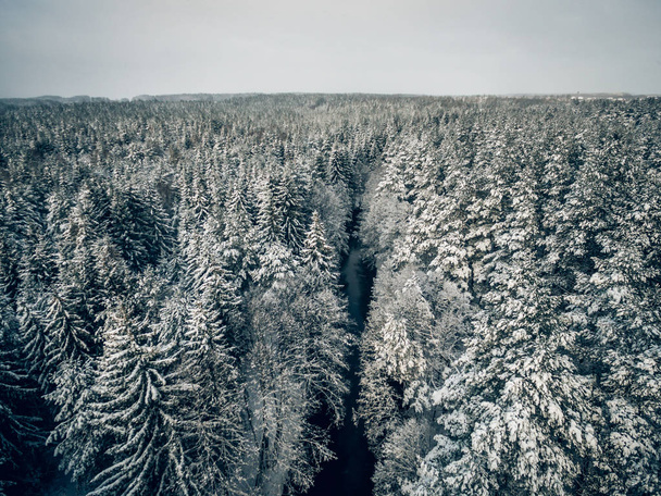 Kış saati orman Nehri'nin havadan görünümü. - Fotoğraf, Görsel