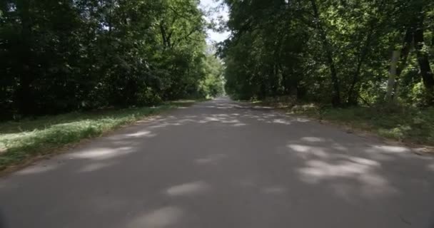Bir Araba Ön Pencere Görünümünde Sürüş Sırasında Orman Yolu - Video, Çekim