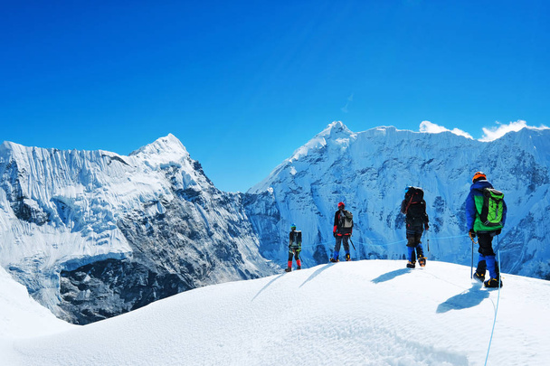 Hikers with backpacks reaches the summit of mountain peak. Success freedom and happiness achievement in mountains. Active sport concept. - Foto, Bild