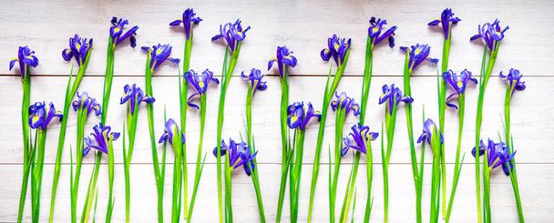 Bannière pour site web. Belles fleurs d'iris sur fond bois, vacances, carte de voeux, espace pour le texte
 - Photo, image