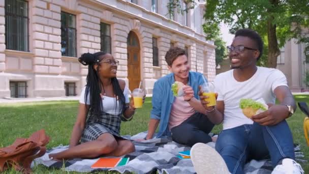 πολύφυλων φοιτητών με χάμπουργκερ χαλάρωση στο πάρκο - Πλάνα, βίντεο
