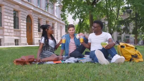 公園でくつろぐハンバーガーを持つ多民族の学生 - 映像、動画