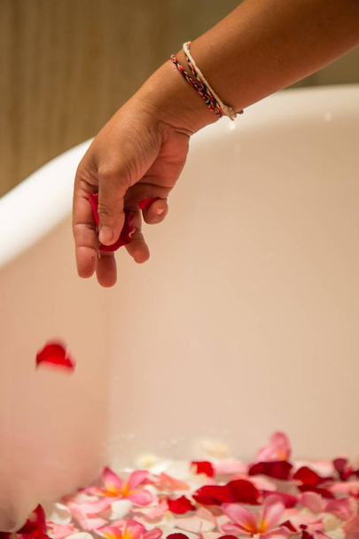 Женская рука бросает лепестки цветов в ванну. Сотрудник отеля готовит гостиничный номер. Лепестки и цветы Frangipani в ванной, спа-выходные, благополучие, уход за телом и концепция красоты
. - Фото, изображение