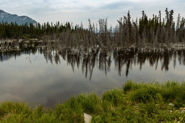 Kanada'nın vahşi kükürt gölü - Fotoğraf, Görsel