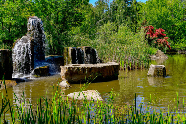 Parc municipal avec des arbres arbustes et une fontaine d'étang
 - Photo, image