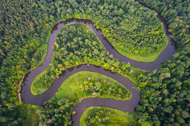 Річка ліс
 - Фото, зображення