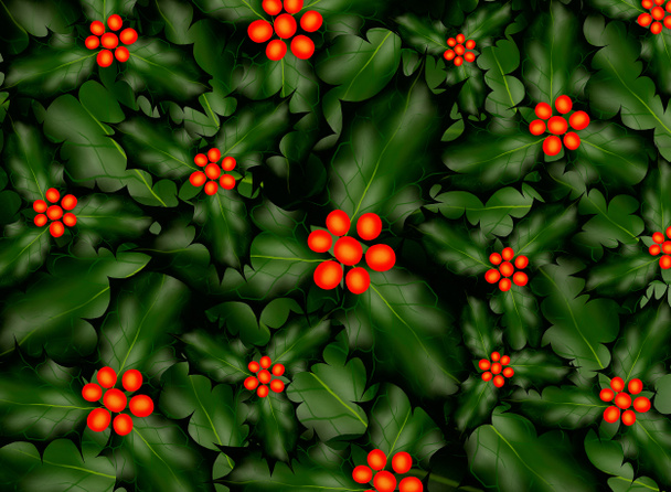 A Holly Pattern Background for Christmas. - Foto, Imagem