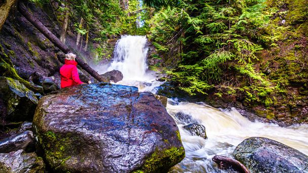 Senior nő figyelte a vízesés a McGillivray Creek közötti városok Whitecroft és a Sun Peaks a Shuswap felföld az Okanagen régió British Columbia, Kanada - Fotó, kép