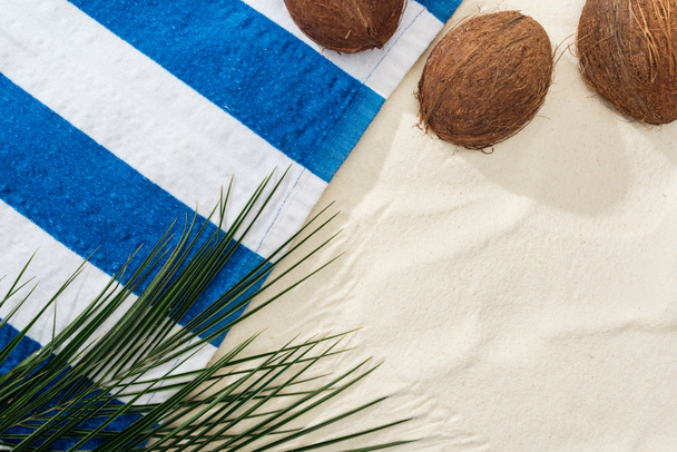 vista superior de hojas de palma, cocos y toalla rayada sobre arena
  - Foto, Imagen