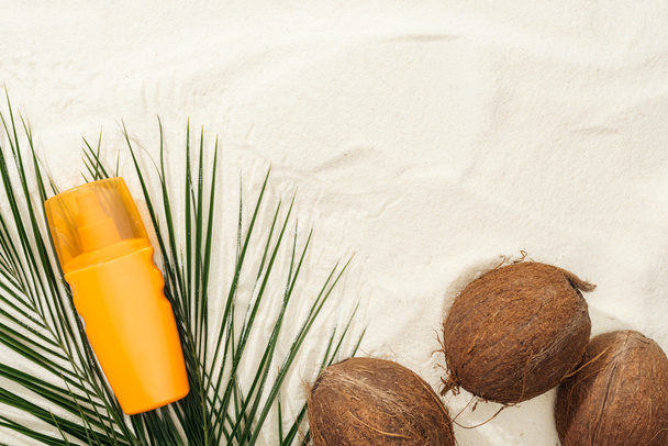 Nejlepší pohled na palmové listy, kokosové ořechy a opalový krém na písku  - Fotografie, Obrázek