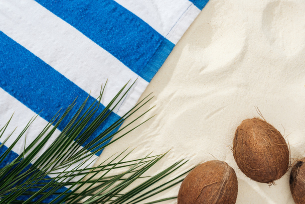 green palm leaves, coconuts and striped towel on sand  - Foto, Bild