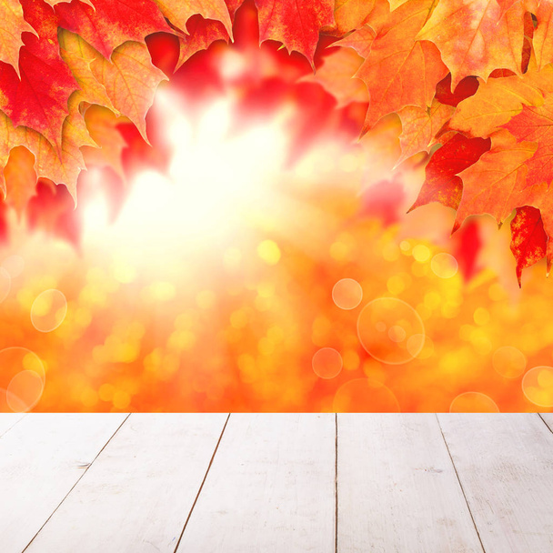 Fondo de otoño colorido. Hojas de otoño y luz solar abstracta
  - Foto, Imagen