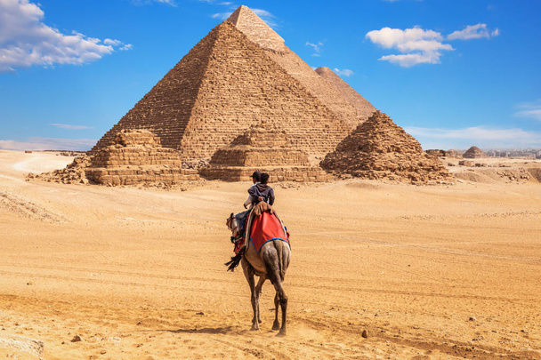 Египтяне на верблюдах возле комплекса пирамид Гиза, Египет
 - Фото, изображение