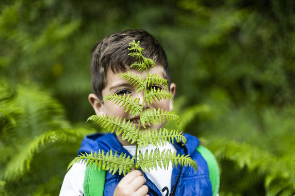 Chlapeček hrající si s kapradí v lese - Fotografie, Obrázek