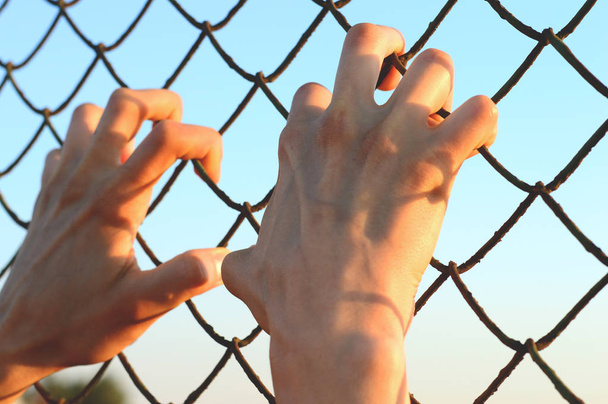 Hands on green grid, a symbol of human freedom - Photo, Image