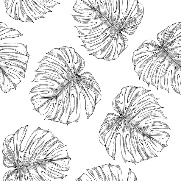 Tropical palm leaves black and white - Vetor, Imagem