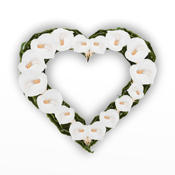 A Beautifully Heart Frame of White Calla Lily Flower, Isolated on A White Background - Photo, Image