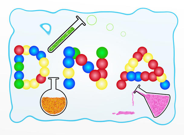 Les mots d'ADN construisent à partir de diverses boules de couleurs avec l'équipement de laboratoire
 - Photo, image