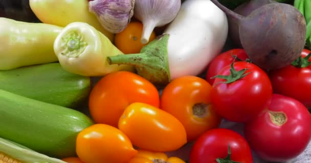 Pozadí organické zeleniny bez GMO pěstovaných bez pesticidů v ekologicky čistých regionech Evropy. - Záběry, video