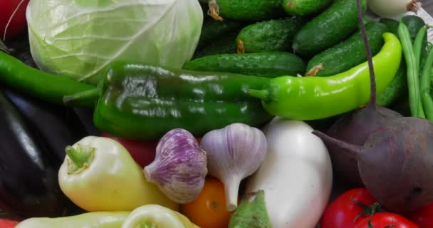 Φόντο από βιολογικά λαχανικά χωρίς ΓΤΟ που καλλιεργούνται χωρίς φυτοφάρμακα σε οικολογικά καθαρές περιοχές της Ευρώπης. - Πλάνα, βίντεο
