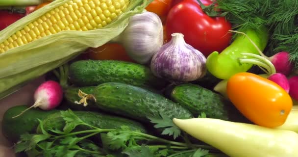Achtergrond van biologische groenten zonder Ggo's geteeld zonder pesticiden in ecologisch schone regio's van Europa. - Video