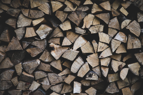 Fire wooden logs front view - Foto, Bild