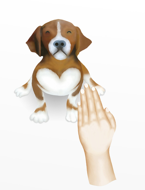 Kézzel, mutatja a Stop Simbol kutya kutya tulajdonos - Fotó, kép
