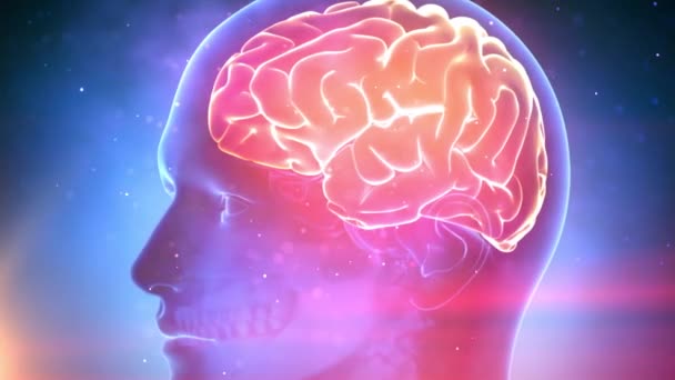 Ludzki mózg medyczny Cyber tło - Materiał filmowy, wideo