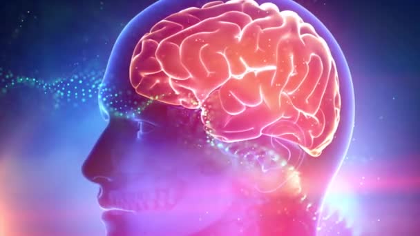 menschliches Gehirn medizinischer Cyber-Hintergrund - Filmmaterial, Video