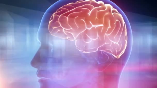 menschliches Gehirn medizinischer Cyber-Hintergrund - Filmmaterial, Video